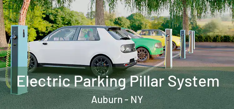Electric Parking Pillar System Auburn - NY