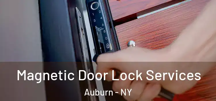 Magnetic Door Lock Services Auburn - NY
